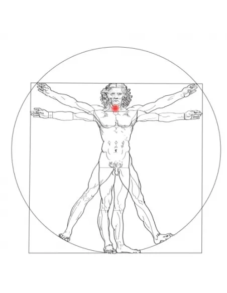 Atmalife 02 BYK - Siarczan sodu 100g