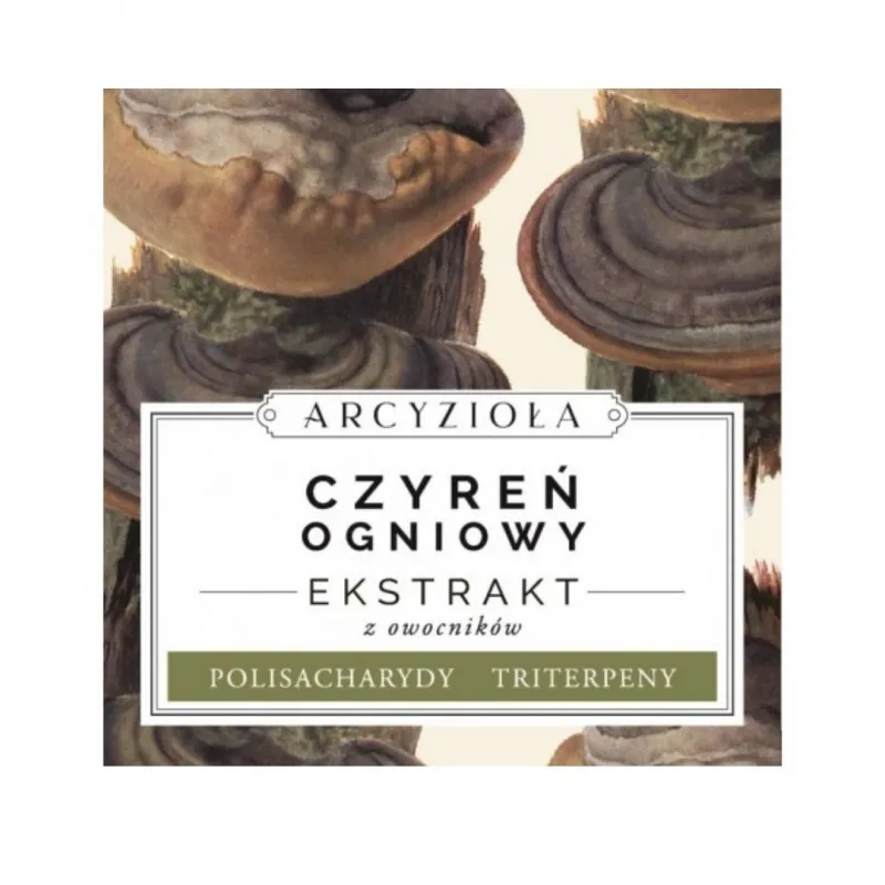 ARCYZIOŁA Czyreń Ogniowy sproszkowany 50g