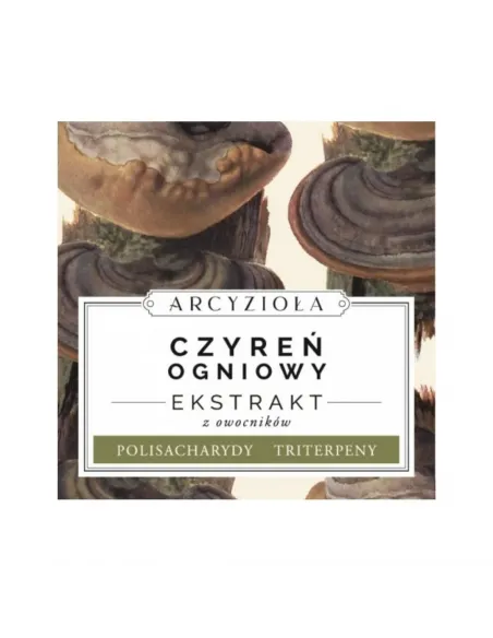 ARCYZIOŁA Czyreń Ogniowy sproszkowany 50g