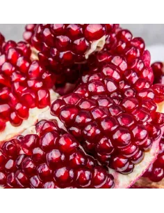 ARCYZIOŁA Granat ekstrakt z soku 140 g 2