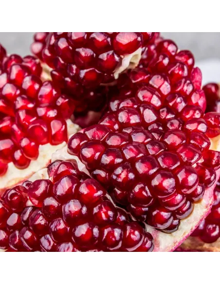 ARCYZIOŁA Granat ekstrakt z soku 140 g