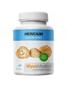 soplówka jeżowata MycoMedica