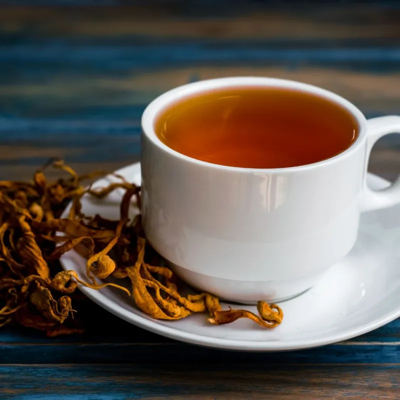 Cordyceps CS-4 MycoMedica