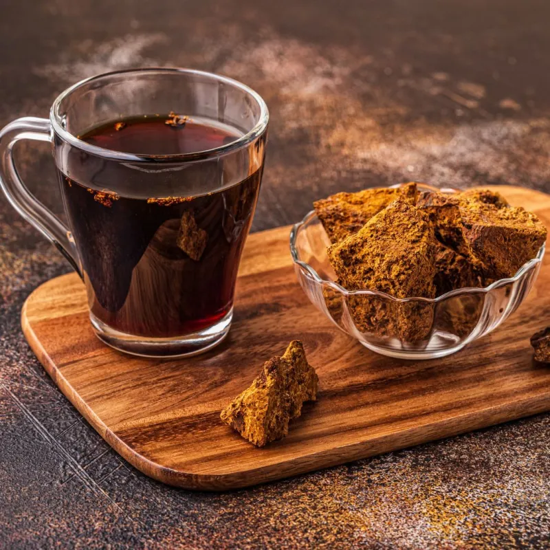 Chaga MycoMedica