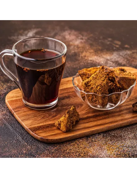 Chaga MycoMedica