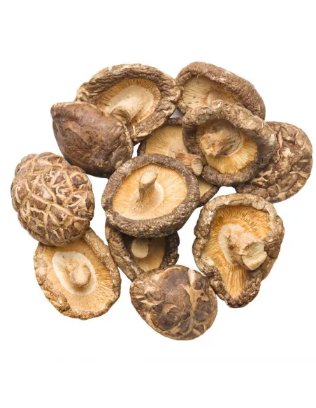 MycoMedica Shiitake