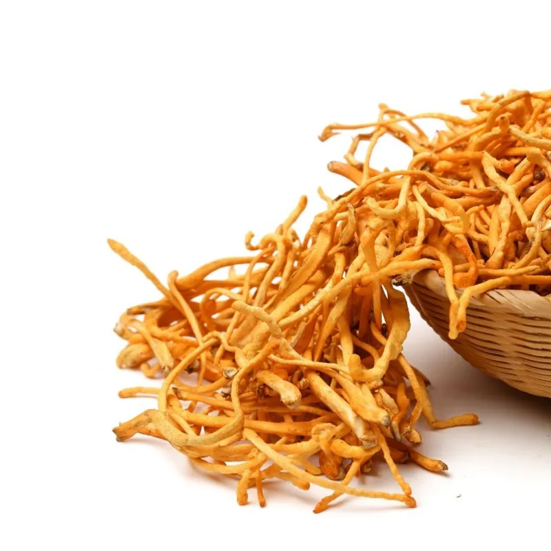 ARCYZIOŁA Kordyceps chiński - Naturalny Ekstrakt z Owoców - 50g | Rokitnik i Przyjaciele