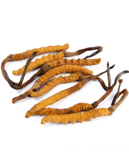 ARCYZIOŁA Kordyceps chiński - Naturalny Ekstrakt z Owoców - 50g | Rokitnik i Przyjaciele