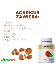 Agaricus MycoMedica 2