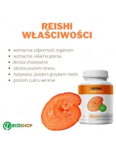 Reishi Myco Medica 2