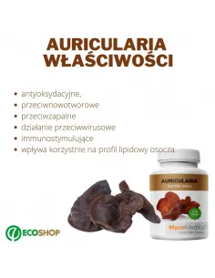MycoMedica Auricularia Uszak bzowy 2