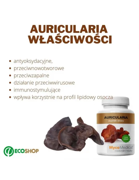 MycoMedica Auricularia Uszak bzowy