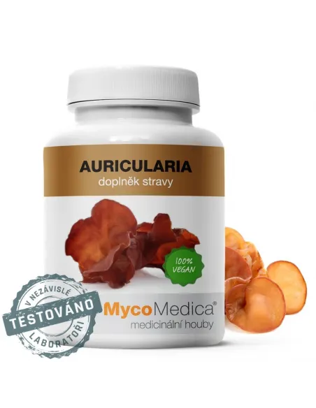 MycoMedica Auricularia Uszak bzowy