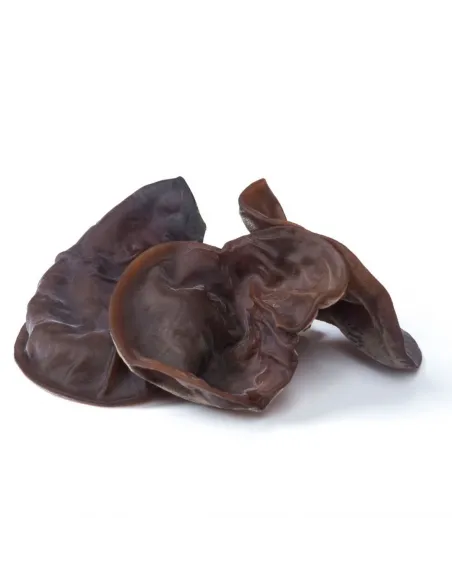 MycoMedica Auricularia Uszak bzowy