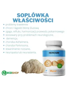 soplówka jeżowata MycoMedica 2