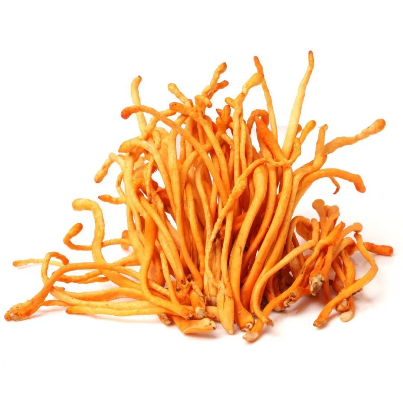 MycoMedica Cordyceps CS-4 50% 90 kapsułek