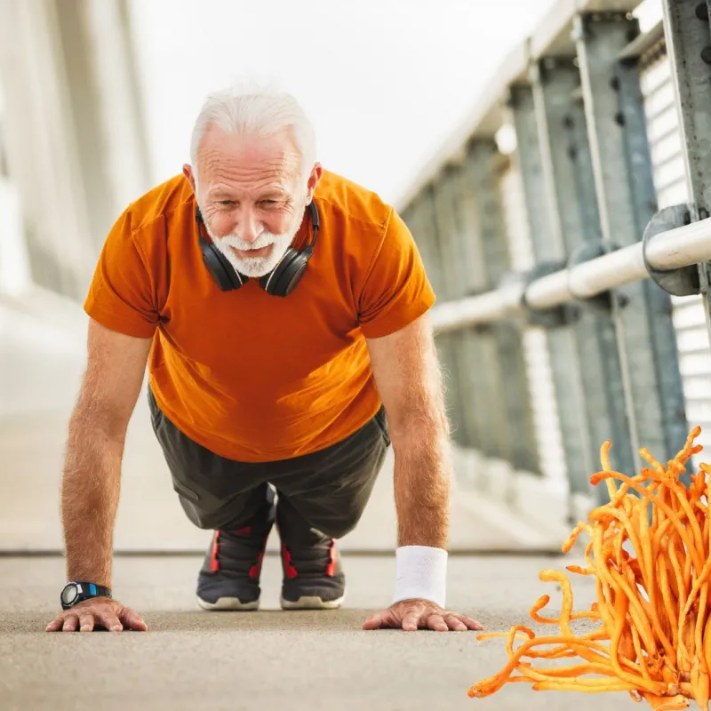 MycoMedica Cordyceps CS-4 50% 90 kapsułek