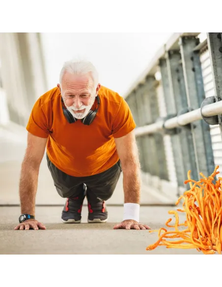 MycoMedica Cordyceps CS-4 50% 90 kapsułek