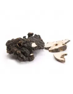 MycoMedica Polyporus (żagiew wielogłowa) 90 kapsułek 2