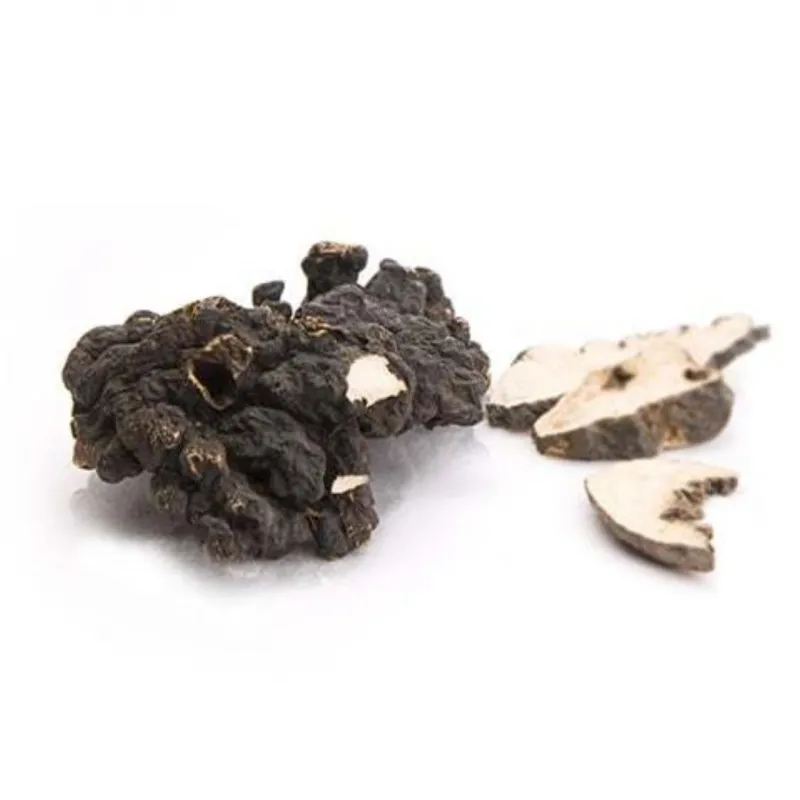 MycoMedica Polyporus (żagiew wielogłowa) 90 kapsułek