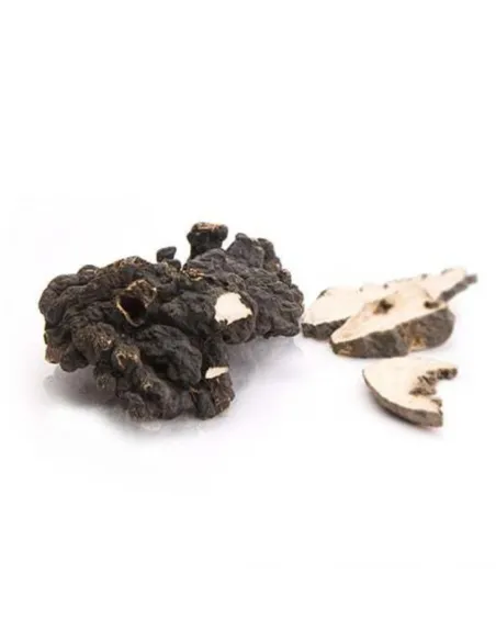 MycoMedica Polyporus (żagiew wielogłowa) 90 kapsułek