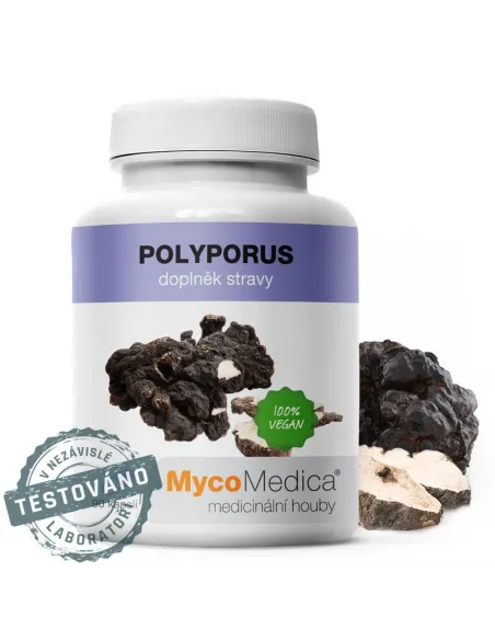 MycoMedica Polyporus (żagiew wielogłowa) 90 kapsułek