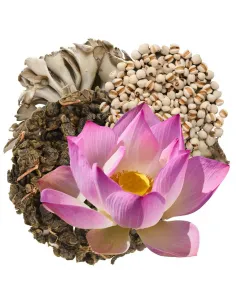 MycoMedica MycoClean 2