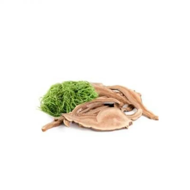 MycoMedica MycoDETOX 90 kapsułek