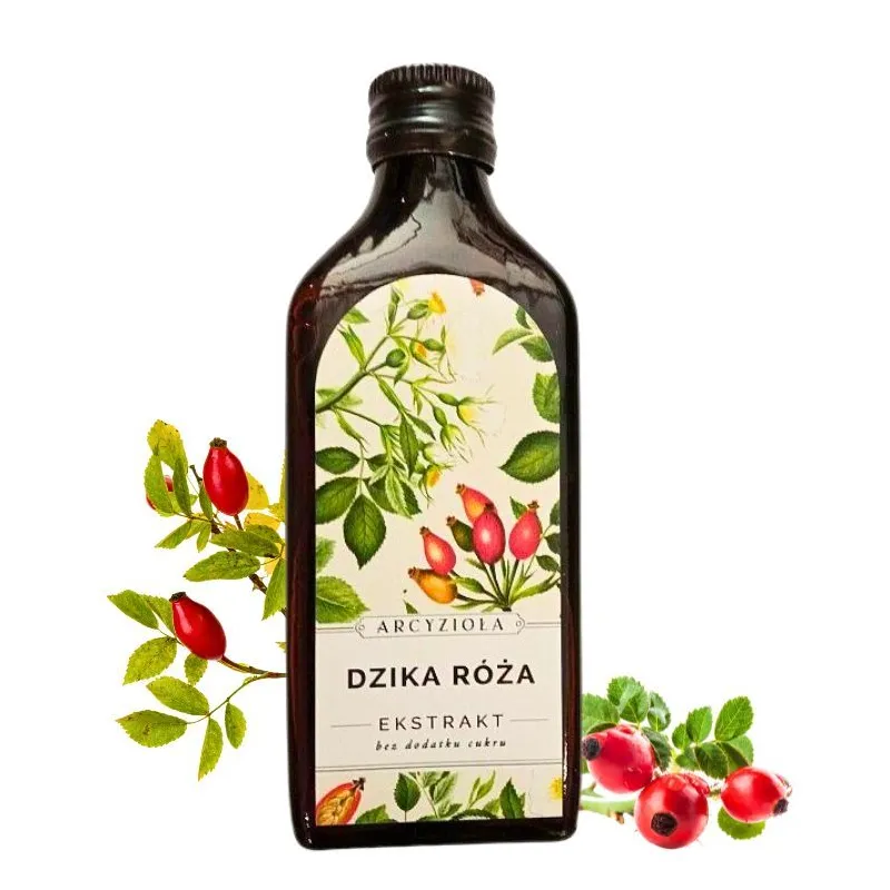 Arcyzioła Dzika róża