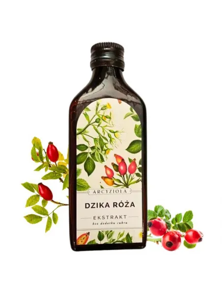 Arcyzioła Dzika róża