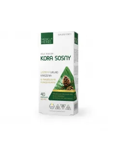 Kora sosny 2