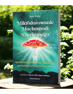 mikrodawkowanie muchomora czerwonego 2