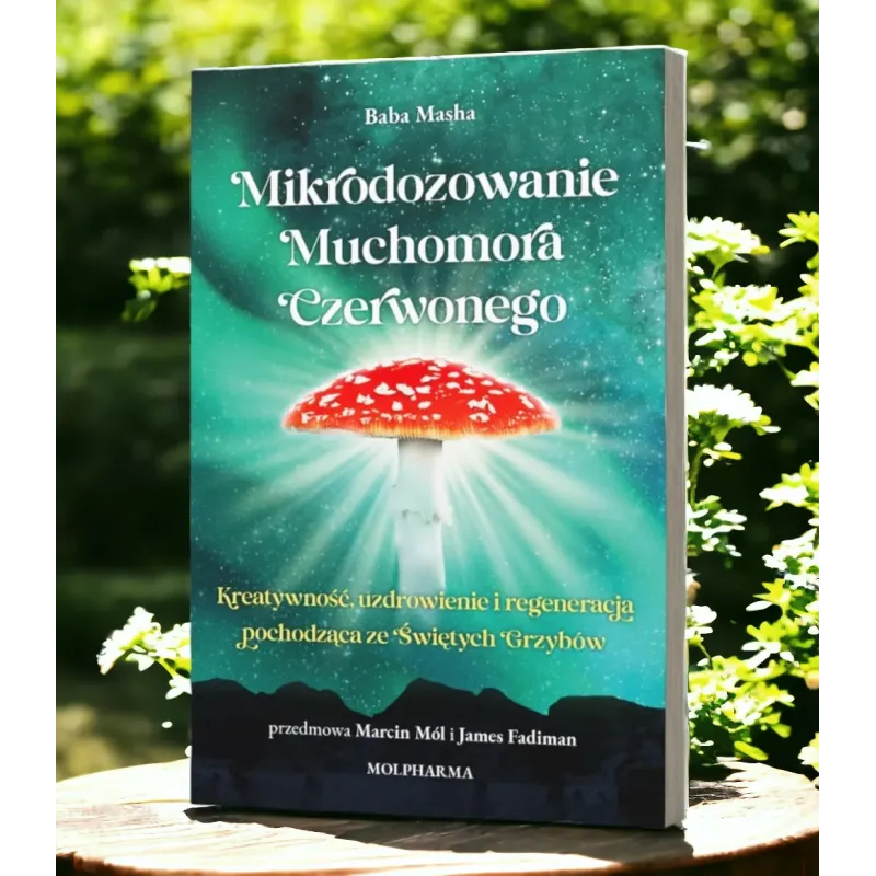 Muchomor czerwony baba masza Amanita Muscaria