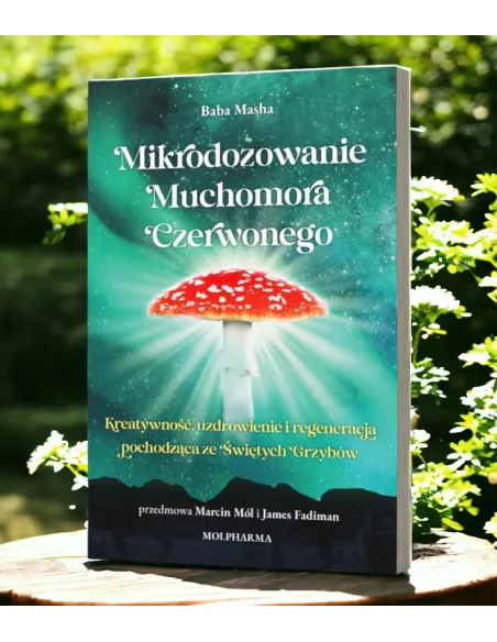 Muchomor czerwony baba masza Amanita Muscaria