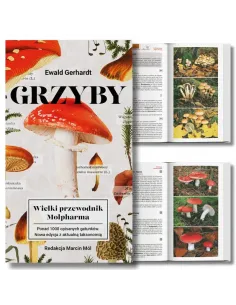 Grzyby Wielki przewodnik Molpharma