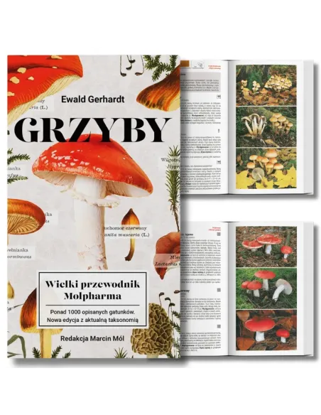 Grzyby Wielki przewodnik Molpharma