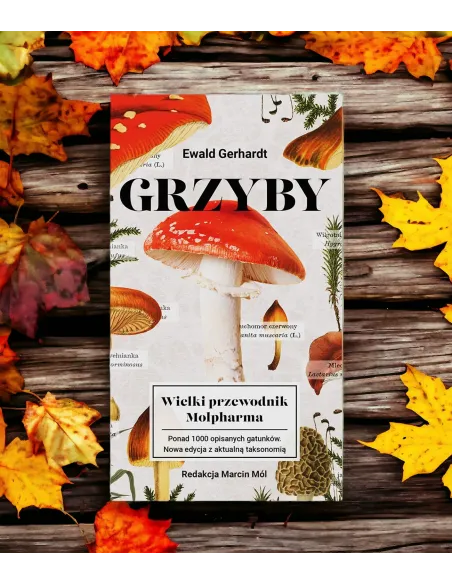Grzyby Wielki przewodnik Molpharma | Kompendium Wiedzy Mykologicznej