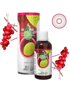 Nanoparasit od B&M - Skuteczna Ochrona Przed Pasożytami