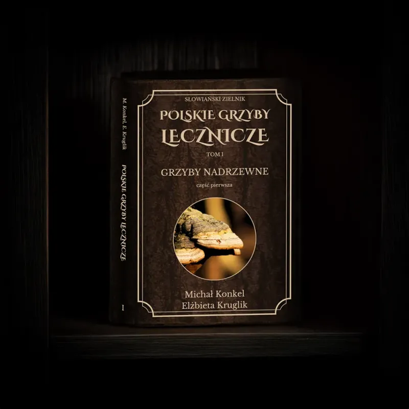 Polskie Grzyby Lecznicze