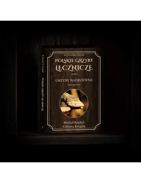 Polskie Grzyby Lecznicze