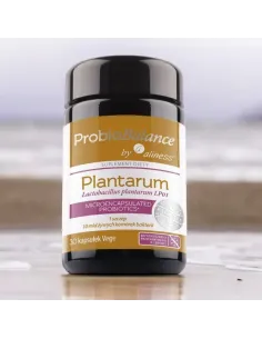 Aliness ProbioBALANCE Lactobacillus plantarum 10 mld x 30 kapsułek 2