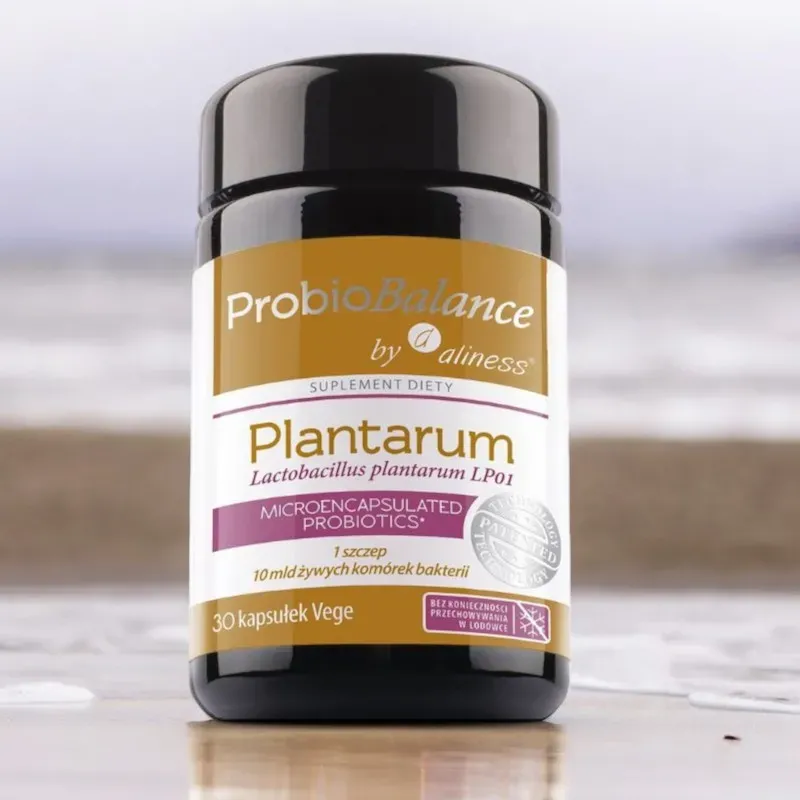 Aliness ProbioBALANCE Lactobacillus plantarum 10 mld x 30 kapsułek