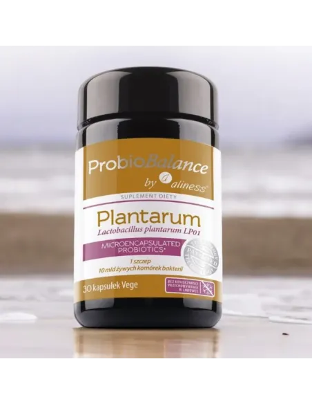 Aliness ProbioBALANCE Lactobacillus plantarum 10 mld x 30 kapsułek