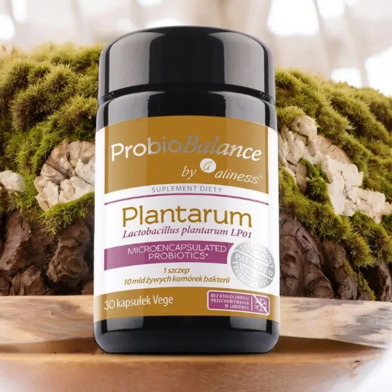 Aliness ProbioBALANCE Lactobacillus plantarum 10 mld x 30 kapsułek