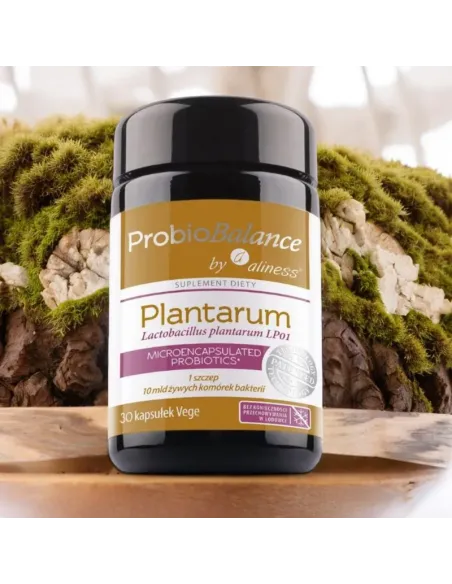 Aliness ProbioBALANCE Lactobacillus plantarum 10 mld x 30 kapsułek