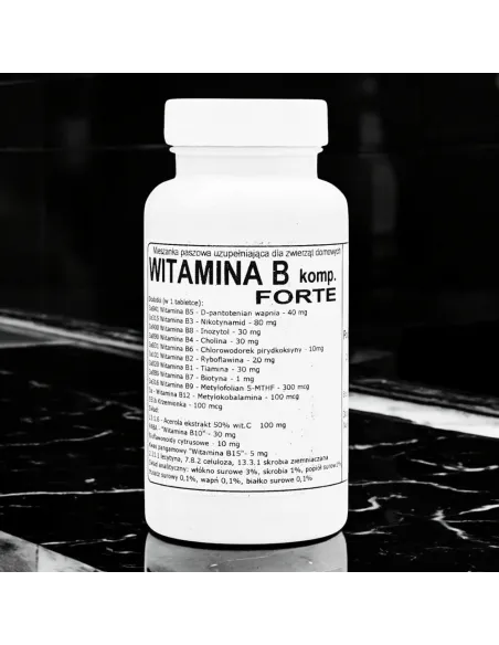 Podkowa Witamina B Kompleks Forte - 75 Tabletek z Grupy B!
