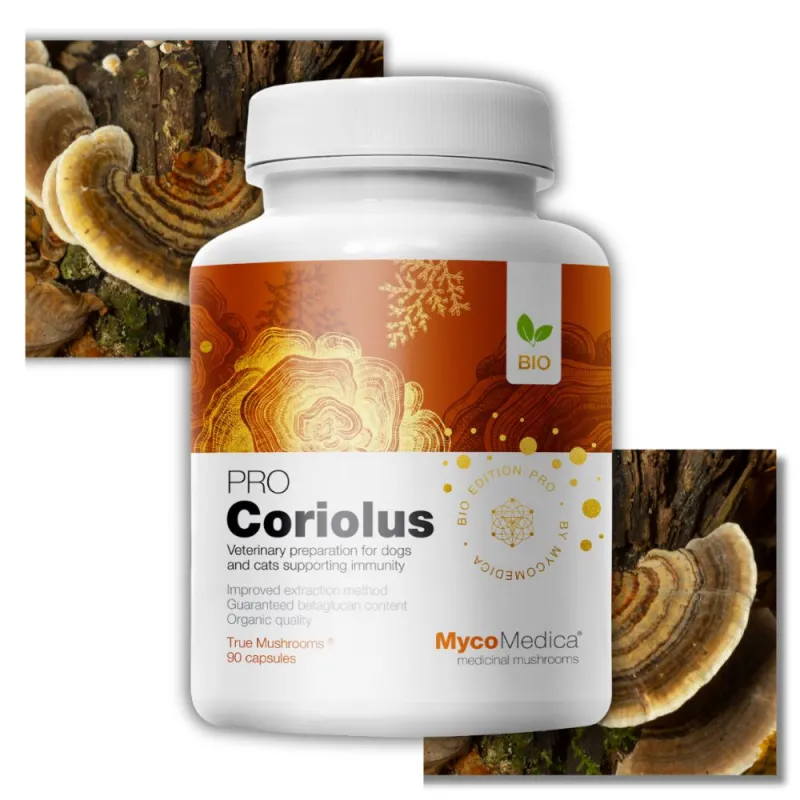 MycoMedica Wrośniak Różnobarwny Coriolus PRO - Wsparcie dla Zdrowia