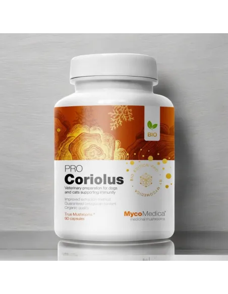 MycoMedica Wrośniak Różnobarwny Coriolus PRO - Wsparcie dla Zdrowia