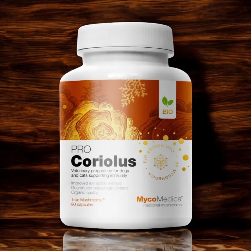 MycoMedica Wrośniak Różnobarwny Coriolus PRO - Wsparcie dla Zdrowia