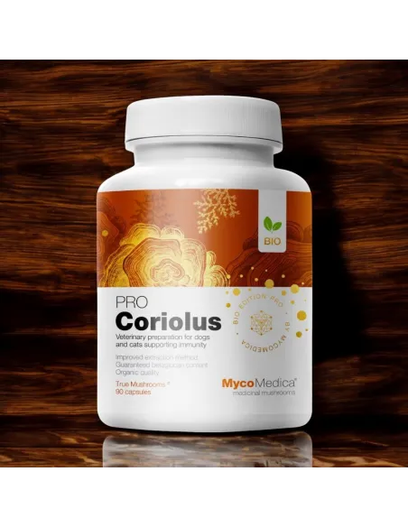 MycoMedica Wrośniak Różnobarwny Coriolus PRO - Wsparcie dla Zdrowia